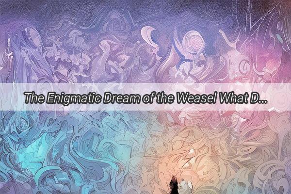 The Enigmatic Dream of the Weasel What Does It Mean for Men